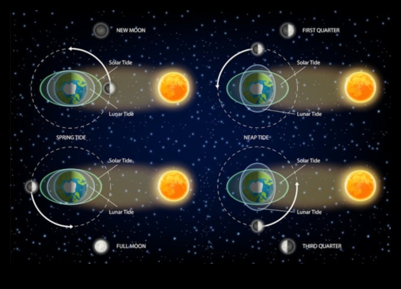 Ουράνιος Συγχρονισμός: Ο Αρμονικός Χορός των Αντικειμένων σε Μηδενική Βαρύτητα
