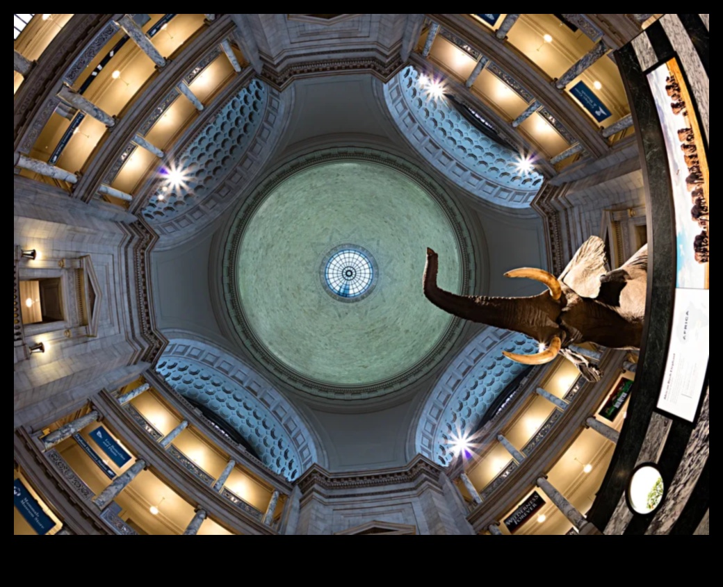 Lens Luminaries: Αποκαλύπτοντας τους Πρωτοπόρους της Επαγγελματικής Φωτογραφίας