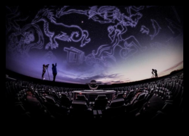 Celestial Chronicles: Stories from the Enchanting World of Stars