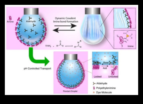 Dynamic Nano Designs: Visualizing Experiences with Interactive Nanotechnology