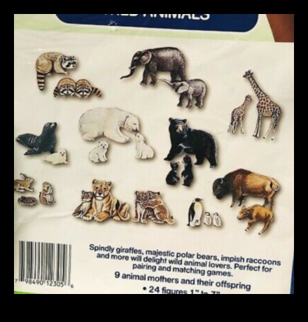 Οπτικά Θαύματα: Διαμορφώνοντας Ιδέες σε Εκπαιδευτικές Πραγματικότητες