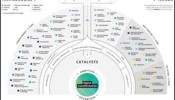 Beyond Business as Usual: Exploring the Frontiers of Digital Evolution