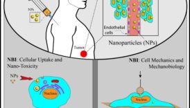 Dynamic Nano Designs Ένα διαδραστικό πηγαίνω μπρος-πίσω στη νανοκλίμακα 2 Dynamic Nano Designs: Visualizing Experiences with Interactive Nanotechnology