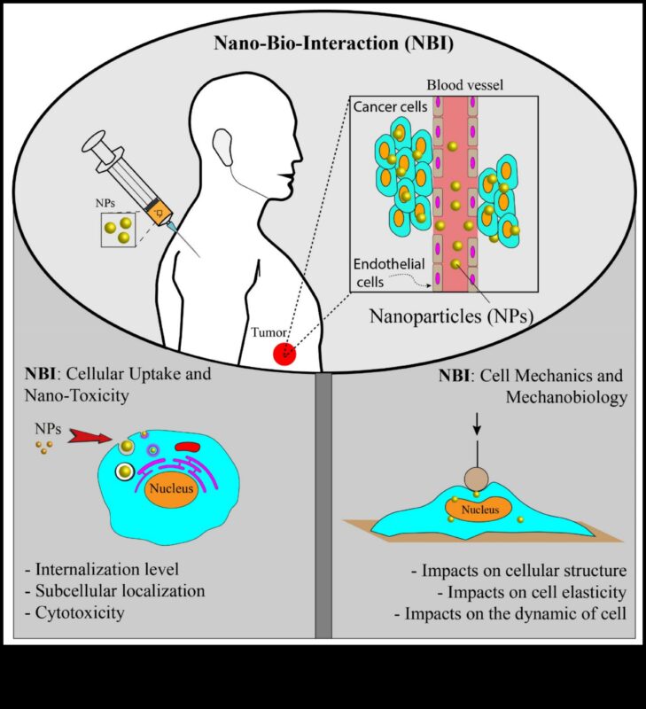 Dynamic Nano Designs: Visualizing Experiences with Interactive Nanotechnology