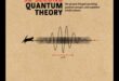 Quantum Quandaries: Investigating the Complexities of Astrophysical Realms