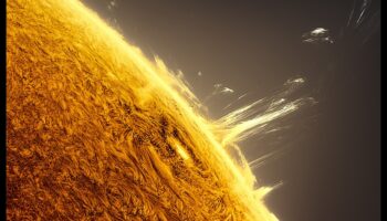Solar Flare Splendor: Αξιοποίηση του ηλιακού φωτός σε αιθέρια στυλ φωτογραφίας