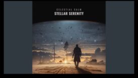 Stellar Serenity: Finding Peace in the Infinite Silence of Cosmological Space