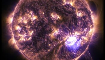 Stellar Soiree: A Celestial Celebration of Planetary Phenomena