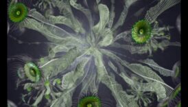 Creative Coding: The Language of Visual Artistry in Biotechnology