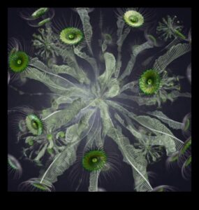 Creative Coding: The Language of Visual Artistry in Biotechnology