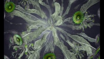 Creative Coding: The Language of Visual Artistry in Biotechnology