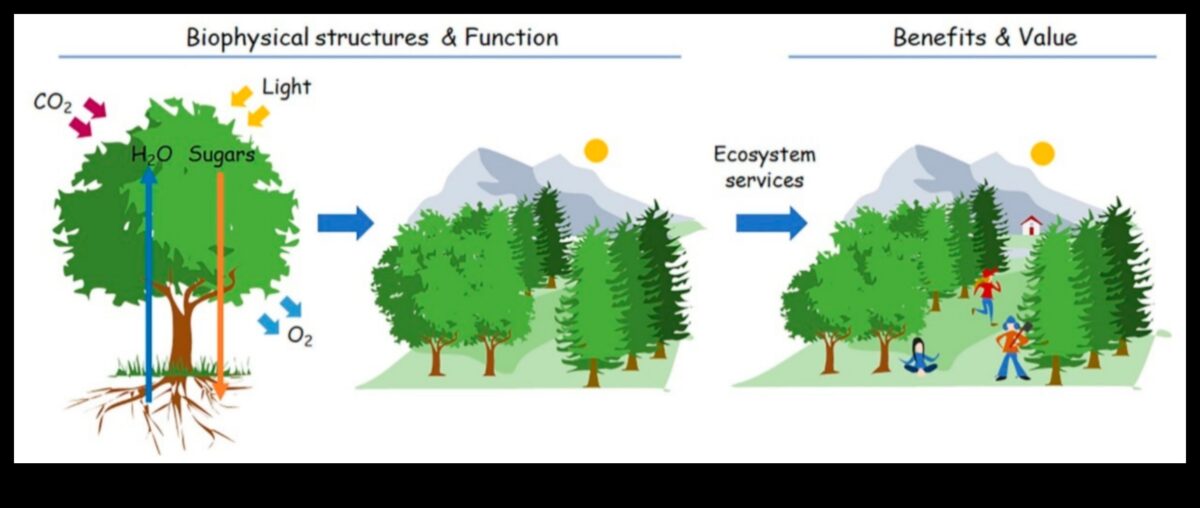 Designing Green Perspectives: Art Through Different Lenses in Environmental Technology