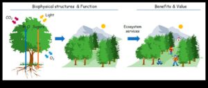 Designing Green Perspectives: Art Through Different Lenses in Environmental Technology