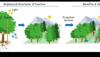 Designing Green Perspectives: Art Through Different Lenses in Environmental Technology